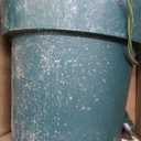 National Tree Company 3 ft Pre-Lit Hampton Spruce Mini Artificial Christmas Tree, 100 Clear Lights, 579 Tips, Green Growers Pot