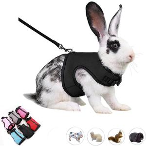 Ferret Harness and Leash,Young Rabbit Harness and Leash Set Eescape Proof Mesh Walking Training for Rat Hamster Ferret Squirrel Small Animal Pets Harness,Black M