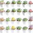 Tiita 24 Set Artificial Faux Succulents in Pots Fake Plants Plastic Arrangement Planter Small Mini Tiny Decoration for Home Office Desk Window Sill Bathroom Bedroom Outdoor Indoor
