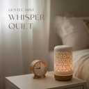 Earnest Living Essential Oil Diffuser Ceramic Artificial Succulent Plants Potted Diffuser 100 ml for Lavender Essential Oils Timers Night Lights and Auto Off Humidifier Aromatherapy Diffusers for Gift