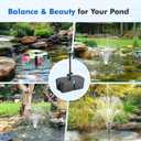 Pond Filters for Outdoor Ponds, 820 GPH Pond Filter with Fountain Pump Kits, 60W Pond Pump and Filter Kit for Koi Pond Clean, Garden Fountains, Waterfall