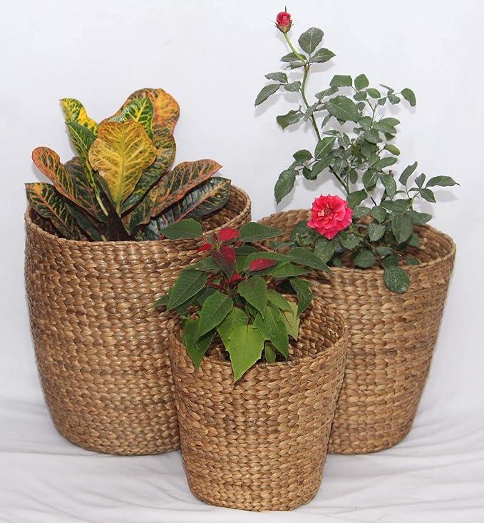 Pot Plant Cover/Planters/Tub in Natural Water Hyacinth Reeds, Set of 3 (1 Extra Free) by RDE Collections