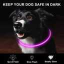 Novkin 2-Pack LED Dog Collar, Light Up Dog Collars,Rechargeable Dog Lights for Night WalkingUniversal, Reusable Safety Necklace for Small Medium Large Dogs RED&Pink