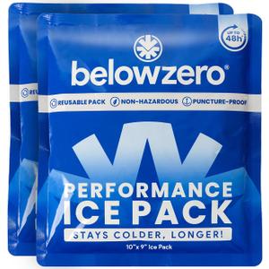 Below Zero Prefilled Reusable 48-Hour Ice Packs, Medium 10"x9", 2 Pack