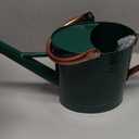1 Gallon Metal Watering Can with Removable Spout, Nice Galvanized Steel Water Can with Embossed Design for Indoor and Outdoor Plants (Green)