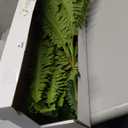 35" Ferns Artificial Bush Plants Large, 2 Artificial Boston Ferns with 39 Fronds for Outdoors Home Decor (35" 2 Pcs)
