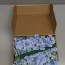 20 Pcs Blue Hydrangea Artificial Flowers Bulk, Faux Hydrangea Flowers Heads, Artificial Fake Silk Hydrangea Flowers with Stems, Blue Flowers Artificial for Decoration Wedding Dcor