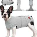 Kuoser Dog Recovery Suit for Male Dogs, Post-Surgery Bodysuit for Spay Neuter, Dog Onesie After Surgery, Anti-Licking Pet Surgical Recovery Suit, Gray XS