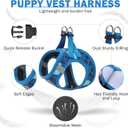SCENEREAL Small Dog Harness and Leash Collar Set, Step in No Pull Soft Mesh Dog Harnesses for Small Medium Sized Dogs Puppy and Cats Outdoor Walking, No Chock Reflective Vest Harness, Blue Plaid, XS