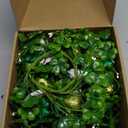 4 Pcs St Patricks Day Decorations 11.8 Inch Small Shamrock Wreath Mini St Patricks Wreaths with Green Berried Flowers St Patricks Day Wreaths for Door Window Wall Cabinets Kitchen Table Mantle