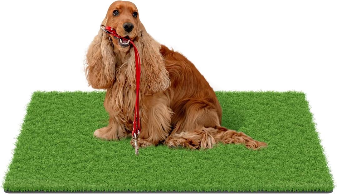 MAYSHINE Fake Grass for Dogs, Artificial Turf Grass Indoor Outdoor, Mat for Dogs Soft Blades, Cesped Artificial for Patios, Dog Astro Turf for Balcony, Quick Clean, Easy Rinse Patio Rug, 59"x36"