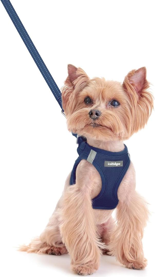 Rabbitgoo Dog Harness Small Sized and Leash Set, Step in Soft Light Puppy Vest, Breathable Mesh Pet Harness, Reflective for Safe Outdoor Walking, Navy Blue XXS (XXS (Chest: 12.4 - 14.2"))