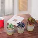 Faux Succulents Artificial Plants 16 Pack Lifelike Fake Succulent Plants Unpotted