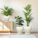 MPotTo Ceramic Pots for Indoor Plants - 10+8+6 Inch Planters with Drainage Holes and Saucers, Decorative Boho Round Indoor Planters Pots, Room Decor, Gifts for Plant Lovers, Set of 3, White