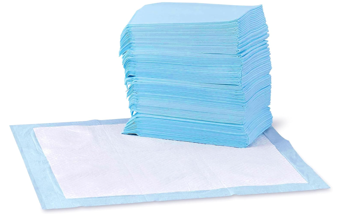 Basics LeakProof Dog and Puppy Potty Training Pee Pads with QuickDry 5Layer Super Absorbent Design, Regular Size 22 x 22 inch, Blue & White, 100 Count
