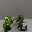 Der Rose 4 Pack Small Fake Plants Mini Artificial Faux Plants Indoor with Flowers Spring Decorations for Home Room Farmhouse Desk House Bathroom Decor