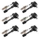 Hi-Perf Ignition Coils Dual Iridium Spark Plugs