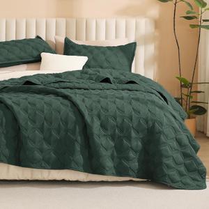 Litanika Queen Quilt Bedding Set, Forest Green Summer Lightweight Soft Comforter Bedspreads & Coverlets, Boho Farmhouse Bedding Cover Bed Decor All Season, 3 Pieces (1 Quilt, 2 Pillowcases)