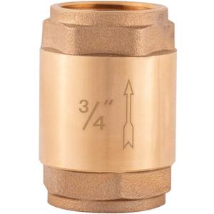 Eastman Brass In-Line Check Valve, 3/4 Inch IPS Threaded Connection, Stainless Steel Spring, 20403LF
