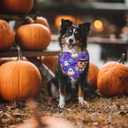 Halloween Dog Bandanas 2 Pack Multiple Adorable Halloween-Themed Patterns, Durable Fabric Halloween Pet Scarf, Suitable for Small, Medium, and Large Breed Dog' Halloween Party Dog Bandana