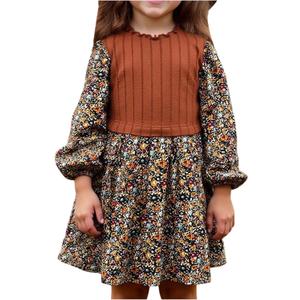SOLY HUX Toddler Girl's Fall Floral Dress Long Sleeve A Line Cute Casual Short Dresses