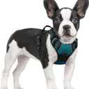 rabbitgoo Dog Harness No Pull with 2 Leash Clips, Adjustable Soft Padded, Reflective Oxford No Choke Pet Vest with Easy Control Handle for Small Dogs, Blue Coral, S