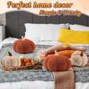 Queekay 2 Pcs Thanksgiving Pumpkin Pillow Pumpkin Decor for Friendsgiving Party Fall Home Thanksgiving Throw Pillow Cushion for Friends Holiday Operation Christmas Sofa Couch(White,Brown)