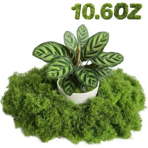 Fake Green Moss - Artificial Moss for Plants Indoor, Faux for Crafts, DIY Fairy Garden Decor, Potted Plant Wedding Centerpieces, Table & Wall Decoration (10.6 OZ)