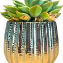 Admired By Nature 4" Ceramic Flower Planter, Ceramic Pot Planter, Indoor Ceramic Bowl, Houseplant Ceramic Pot, Decorative Planter for Indoor Plant Succulent Plant Home Dcor, Lightweight, YLW Gold (4 inch)