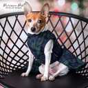 Parisian Pet Scottish Dog Dress - Festive Holiday Clothes for Large Dogs Girl - Plaid Green Pet Dress - Stylish Dog Wedding Outfit - Lightweight Puppy Clothes - Sleeveless Party Dresses for Dogs, S