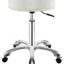 Ainilaily Rolling Stool with Wheels, Thick Cushion Heavy Duty Esthetician Hydraulic Chair Stool for Work Medical Tattoo Salon Office (White)
