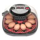 12-24 Egg Incubator with Humidity Display, Egg Candler, Automatic Egg Turner, for Hatching Chickens Duck Quail Parrot (Red)