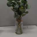 Briful Artificial Eucalyptus Stems in Glass Vase with Faux Water, 14" Fake Plant Eucalyptus Leaves for Home Bathroom Office Farmhouse Wedding Centerpiece Dcor (Clear)