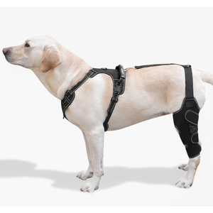 FurWell Dog Knee Brace with Adjustable Support – ACL & CCL Tear Recovery, PostSurgery Stabilization, Mobility Aid for Rear Legs – Includes Secure Chest Harness for Dogs (Both Legs, L)