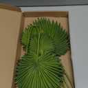 6 Pcs Pu Foam Artificial Palm Leaves Faux Palm Tropical Leaves Fake Palm Fronds for DIY Wedding Bouquets Fake Leaves for Centerpieces Arrangements Bridal Shower Palm Leaf for Party Home Decorations