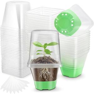 Sckee Clear Nursery Pots for Plants, 30 Packs Plastic Seed Starting Pots with Drainage Holes Plant Nursery Pots Silicone Base (Light Green, 3.1 inch with lids)