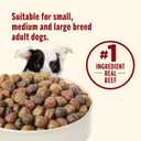 Nutrish Dry Dog Food, Real Beef, Pea & Brown Rice Recipe Whole Health Blend for Adult Dogs, 6 lb. Bag (Rachael Ray) (EXP 05/07/27)
