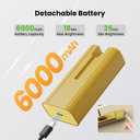 16" Light for Wall Picture with 6000mAh Battery - Brass Operated Wireless Wall Art Light with Remote Control for Artwork, Mirror & Portrait, 16IN 1Pack