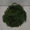 Real Touch Norfolk Pine Christmas Wreath 24IN Soft, Lifelike Artificial Pine Wreath for Indoor & Outdoor Holiday Decoration, Durable and Reusable for Front Door, Wall, and Fireplace, Green