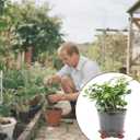 20pcs Pot Feet for Outdoor Planters, Plastic Planter Feet Flower Pot Plant Risers for Flower Indoor Outdoor