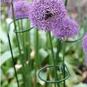 24 Inches Single Stem Plant Support Stakes Steel Garden Stakes Plant Atem Support, Pack of 20