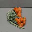 Htmeing 6PCS Artificial Ranunculus Flowers with Real Touch Stem Silk Ranunculus Flowers for Household Arrangement (Light Orange)