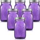 Tessco 6 Pcs 16 oz Colored Mason Jars with Lids Regular Mouth Glass Canning Jar for DIY Crafts Flower Decor, Storage, Canning, Pickling, Preserving, Fermenting (Purple)