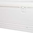 Igloo Hard Cooler | Polar & Party Bar Series | Insulated Ice Chests