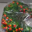 20 Pcs Artificial Strawberry Branches 11.81" Long Stem Strawberry Picks Plastic Realistic Straw Berry with Green Leaves Simulation Fruit Branch Decorative Branch for Vase Home Party Decoration