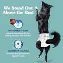 Simple Solution Disposable Dog Diapers, Female Dog Diapers, Puppy Potty Training, Incontinence and Heat Cycle Protection, Medium Diapers for Dogs, 15-23 Inch Waist, 30 Count