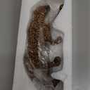 Artpaul Leopard Figurine Resin Sculpture Home Decor Jaguar Statues Desktop Tabletop Shelf Ornament for Living Room, Bedroom,Bookshelf