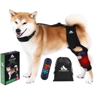 Petometry Universal Dog Knee Brace with Hot/Cold Therapy Pack, Adjustable, Breathable, Extra Comfortable Collar with Stabilising Back Brace (Small)
