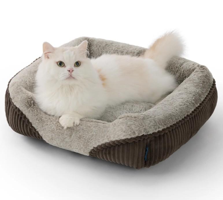 Bedsure Dog Beds for Small Dogs - Rectangle Cat Beds for Indoor Cats, Washable Pet Bed for Puppy and Kitten with Slip-Resistant Bottom, 20 Inches, Camel