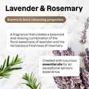 ATTITUDE Dish Soap, EWG Verified, Plant and Mineral-Based Ingredients, Vegan and Cruelty-free Household Products, Lavender and Rosemary, 16 Fl Oz